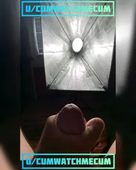 My cumshot compilation