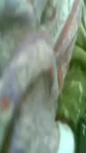 If u have a good memory, you would identify me❤️