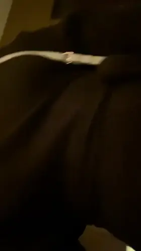 Daddy’s naughty little girl! Cum watch me play 😘 I’m 25, tattooed little slut here to have some fun while my Daddy watches 😈Uncensored Pics/Videos 💬1-1 chats Daily uploads 🐱✨Play 🍑Play 😈 Kink friendly 📱Sexting 😘Girlfriend experience 🍆Rates