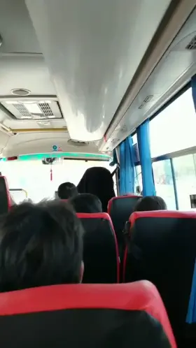 Showing her tits on the bus