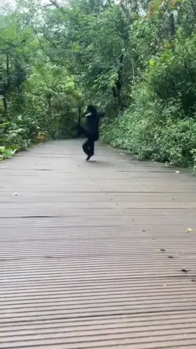 Non Plus Ultra in taking just enough