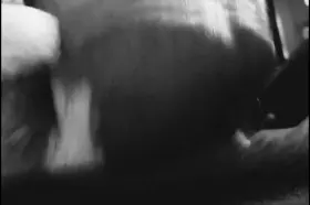 Like watching them bounce?