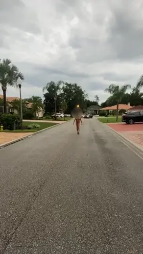 Just Out For A Naked Stroll And Got Caught Porn GIF by 2temptu is a couple