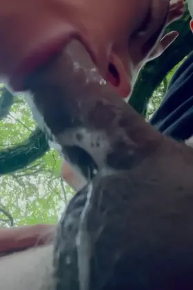 Sometimes you just have to think fuck it and slobber on a cock in the park