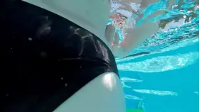 Cum swim in this ass