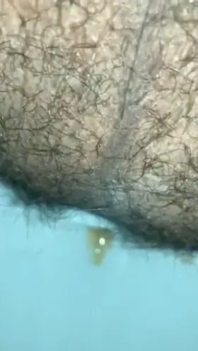 I wish i had a slave to train