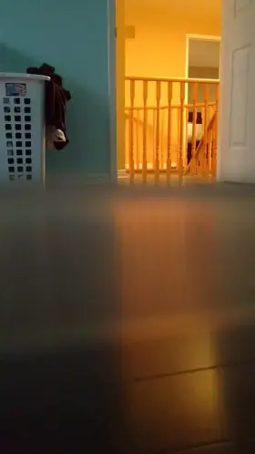 Would you enjoy this view out of your room?