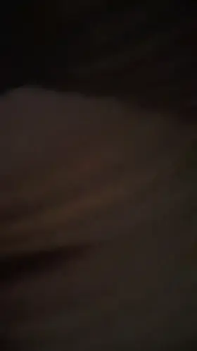 English girl takes black cock