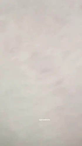 Any guys want to suck on my cock?