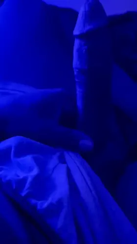 Blackdick in blacklight