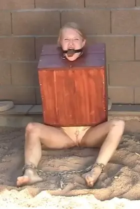 Looking for a master with resources to lock me in a box long term