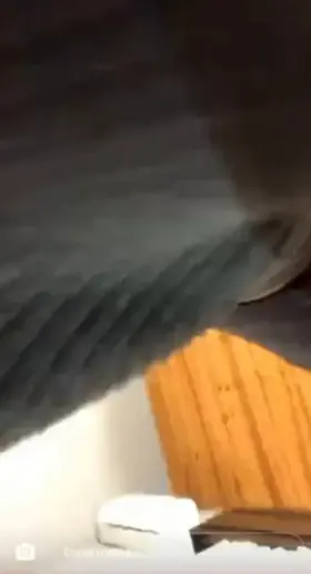 booty upskirt 🍑😻