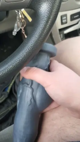 Brought my knotted toy to the park