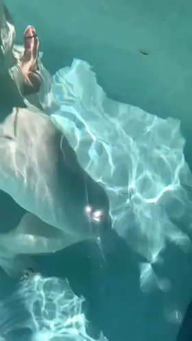 Was enjoying the sun and pool my ass needed some sun haha