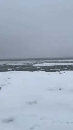 I decided to flash and then I got caught lol