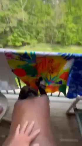 Nothing better then an outdoor fuck