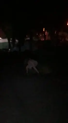 Pissing on the streets of Paris