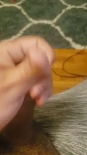 A big load for you guys