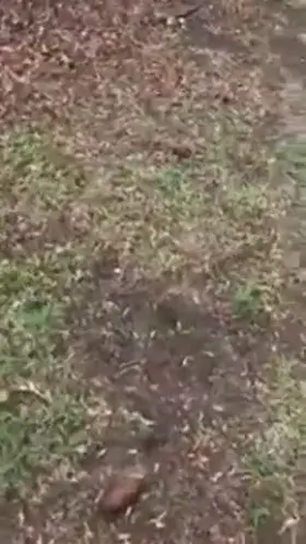 Upvote if you would love to come home to this!