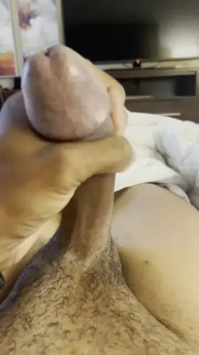 [M4MF] #Denver CO - seeking a stag/vixen couple that is interested in adding a 8” Bull