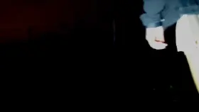 Bitch in heat, take me out for a walk and more :P