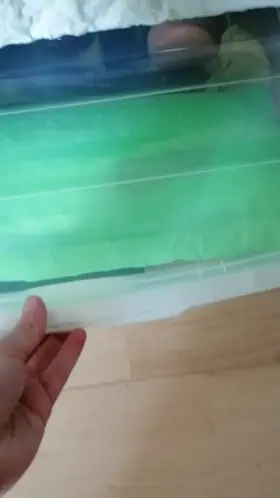 Welcome to my secret drawer