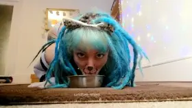 Are alt kitties welcome here too?