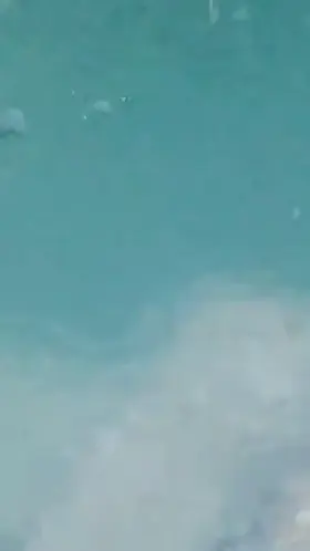 Instant Boner alert 🚨🚨🚨