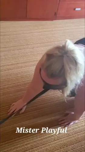 u/MisterPlay[f]ul had [m]y boyfriend watch him treat me like his pet