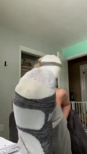 What do you have to offer