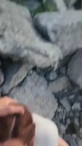 What to do when waiting for the sun to rise