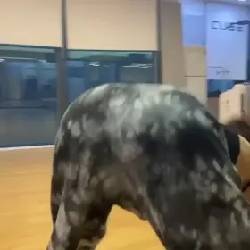 CLC Seungyeon twerking