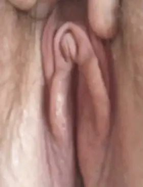 [F] Spreading my pink hairy pussy for you x