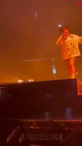 Billie picking up a fan’s bra while preforming