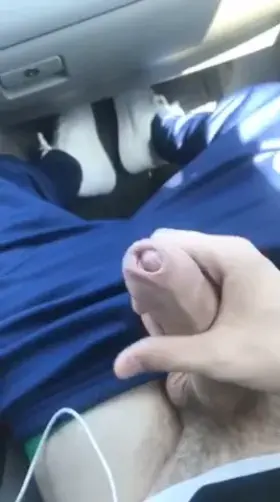 Road trip 😈 [NSFW]