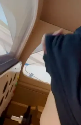 Flight simulator ✈️ had me feeling stimulated 😋🇨🇦 [op]