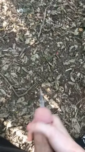 Quick nut on the hiking trail