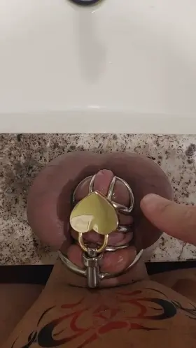 Last Day in This Cage Before I Switch Back!