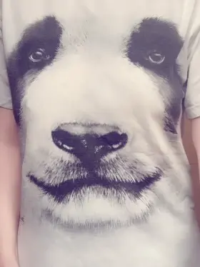 Did I fool you with t-shirt ?