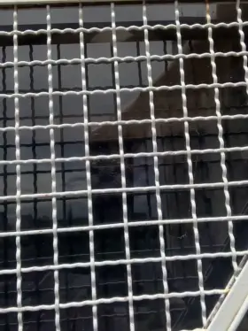 I love the thrill of almost getting caught