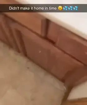 My literal cum-canon 😳🥺 #throbbing #gallon #hotcum