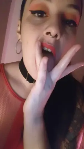 My link is below, come take a look