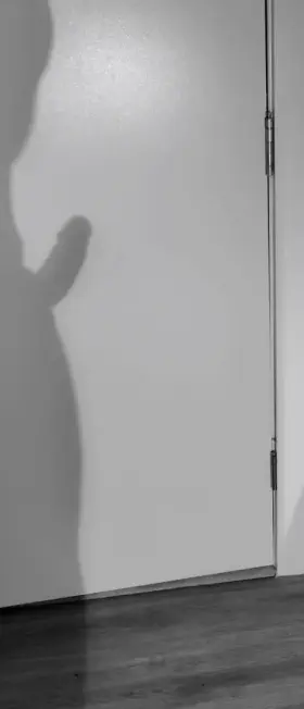 If these walls could talk what would they say?