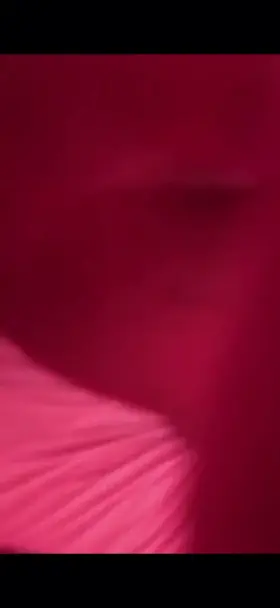 Best pussy I’ve had