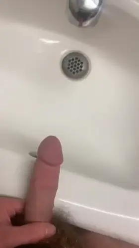 Where should I piss on next?