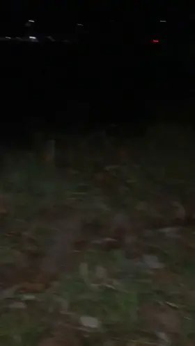 I’m hoping a few of you will appreciate this