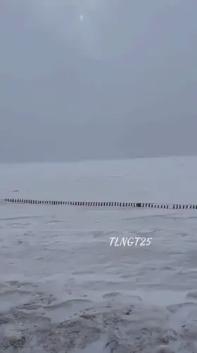 Mother Nature with the amazing background for my brown