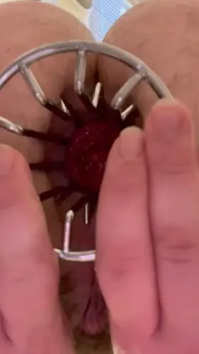 Love how this toy makes my insides look