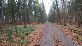 Love to receive such a load