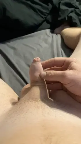 Big Dick Cock POV Porn GIF by 69bigdick6969